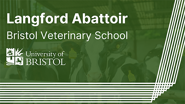 abattoir logo